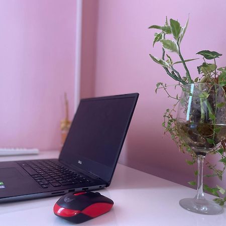 Sunflower Hostel Salwador Zewnętrze zdjęcie